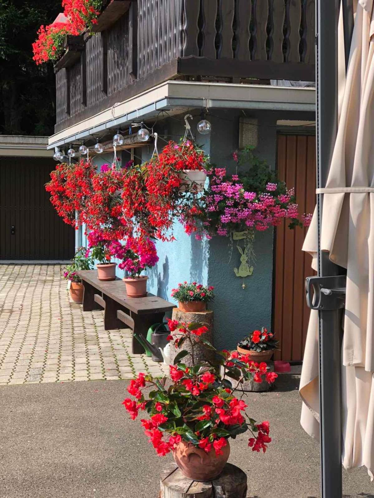 Haus-Erzberg Bed & Breakfast Vordernberg Dış mekan fotoğraf
