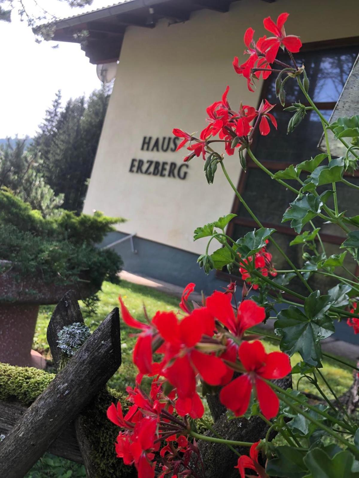 Haus-Erzberg Bed & Breakfast Vordernberg Dış mekan fotoğraf